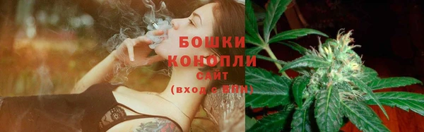 мет Лагань