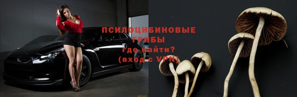 mdpv Ладушкин