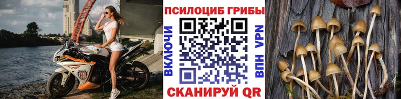 Галлюциногенные грибы MAGIC MUSHROOMS  Жуков 